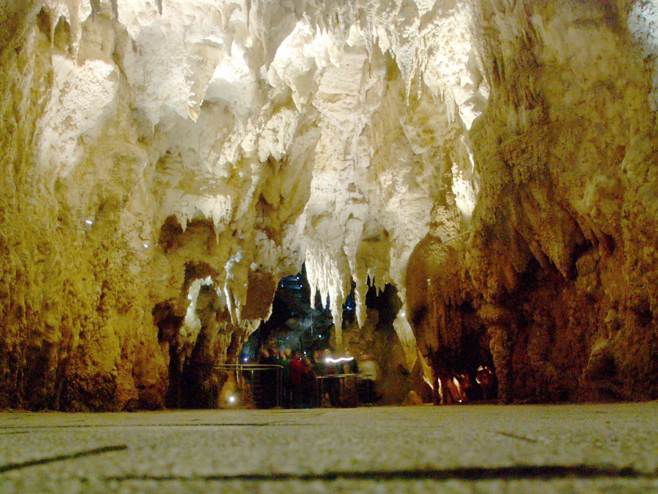 Светящиеся пещеры Вайтомо