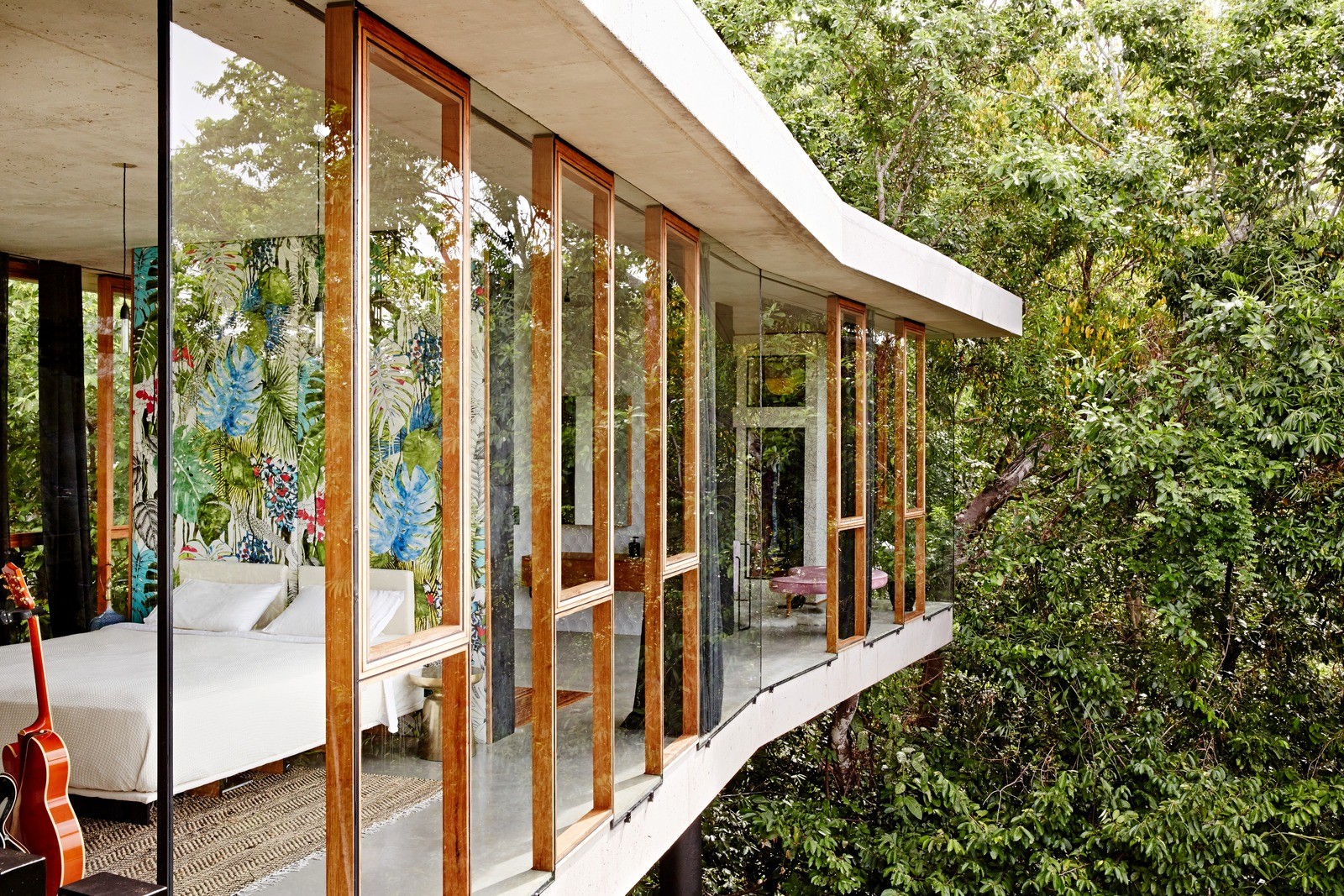 dom planchonella v tropicheskom lesu 11