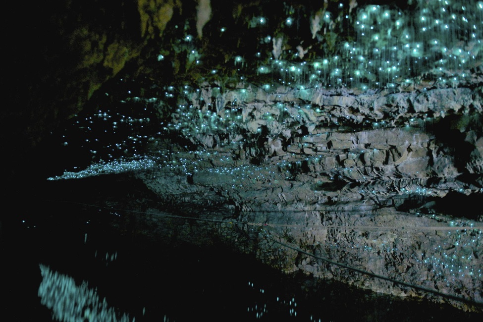 Светящиеся пещеры Вайтомо