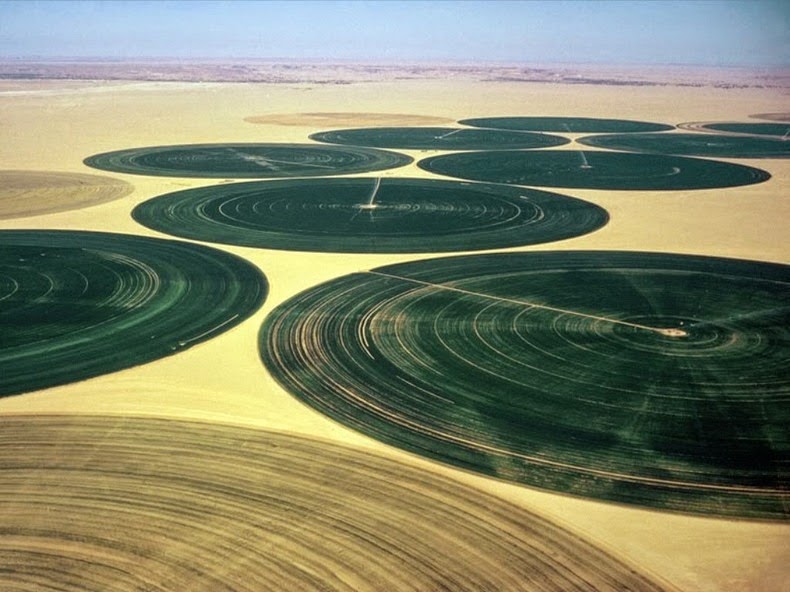 Уникальная ферма в пустыне Иордании