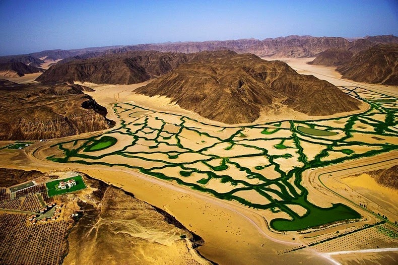 Уникальная ферма в пустыне Иордании