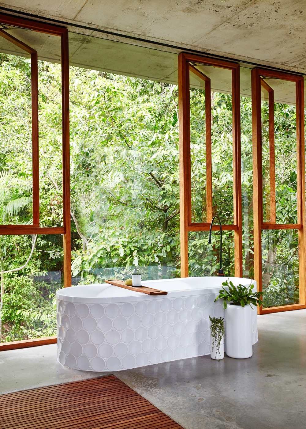 dom planchonella v tropicheskom lesu 15
