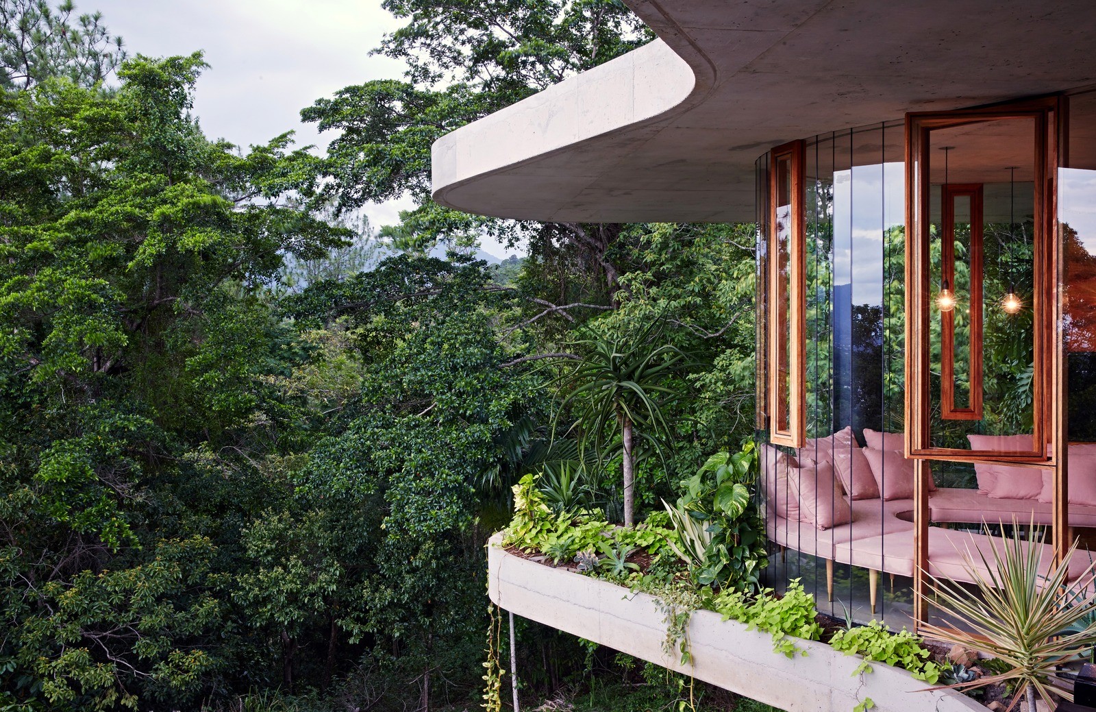 dom planchonella v tropicheskom lesu 2